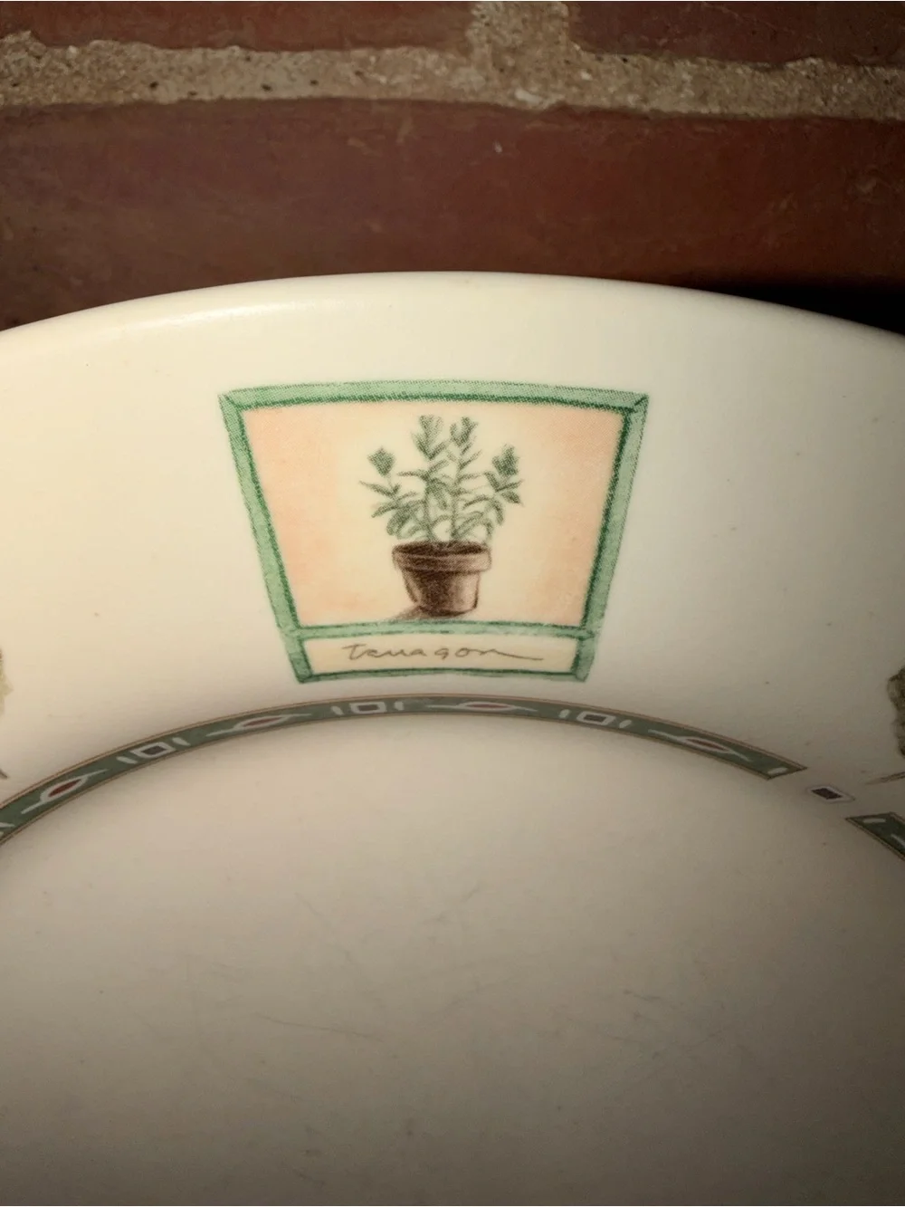Pfaltzgraff Green Botanical Pattern Ceramic Dinner Plates Set of 14 (7 Each)